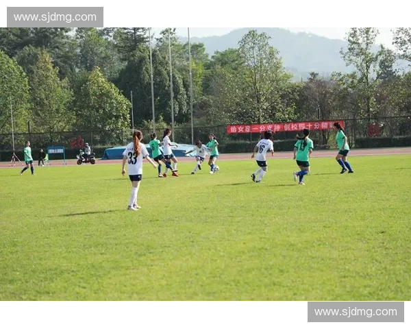 雅安足球联赛：探索地方足球文化发展与竞技水平提升的路径